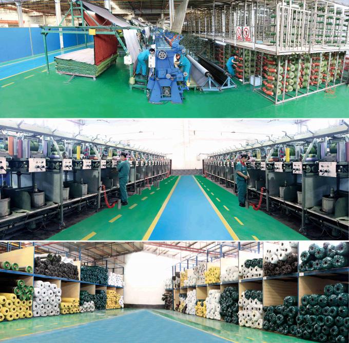 All Victory Grass (Guangzhou) Co., Ltd linea di produzione in fabbrica 1
