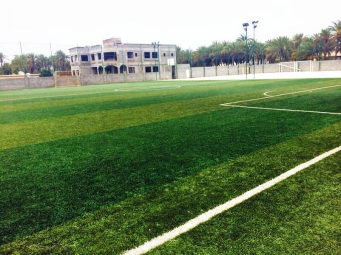 ultime notizie sull'azienda Campo di football americano dell'università normale di Mongolia Interna  0