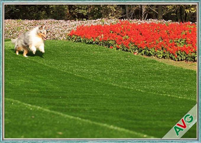 Il tappeto erboso artificiale/sintetico dell'animale domestico resistente UV del cane erba l'installazione amichevole di Eco 0