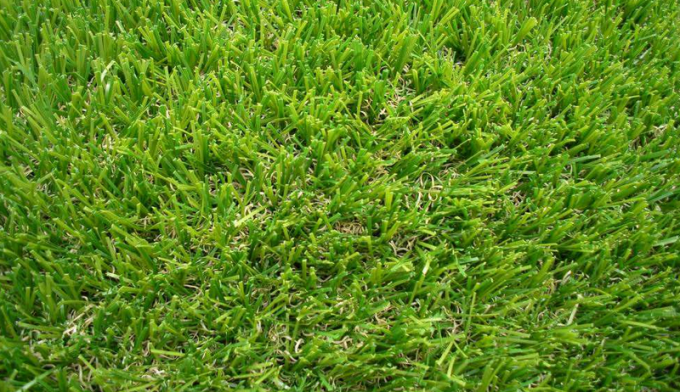 ultime notizie sull'azienda Confronto fra l'erba sintetica di calcio e l'erba reale  2