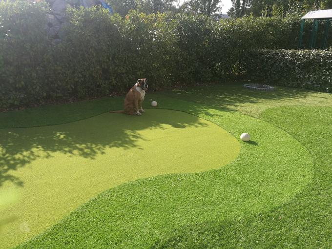 Altezza artificiale verde mettente sintetica di Gateball 13m dell'erba del tappeto erboso di golf 0