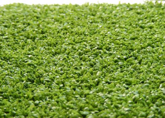 La CINA L'erba falsa decorativa dell'hockey del filato del PE del monofilo tappezza un punto 6600 Dtex di 220 s/m fornitore