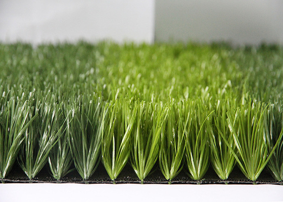 La CINA Larghezze prati inglesi falsi dell'erba 4M/di 2M Sports Artificial Turf per la decorazione all'aperto fornitore