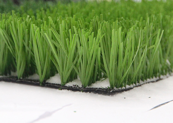 La CINA Produttore artificiale verde For Sports, tappeto erboso artificiale dell'erba del filato del PE del monofilo del campo di football americano fornitore