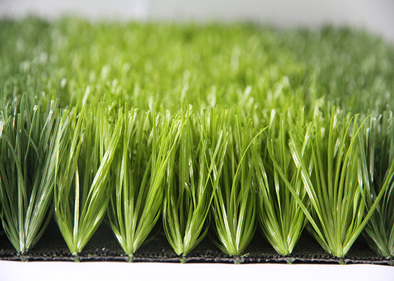 La CINA Tasso artificiale 16/10 del punto di cm dell'erba di calcio decorativo di rendimento elevato fornitore