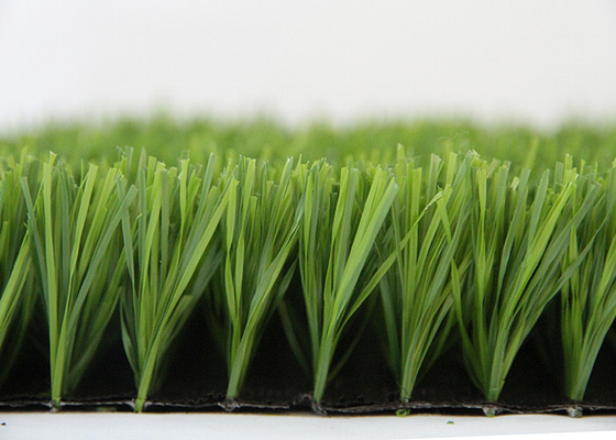 La CINA L'erba falsa del tappeto erboso artificiale su ordinazione di calcio tappezza la lunghezza di rotolo di 25m - di 20m fornitore