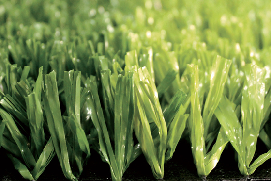 La CINA Tappeto erboso artificiale di calcio di verde dell'alto grado di AVG, tappeto sintetico dell'erba di calcio fornitore