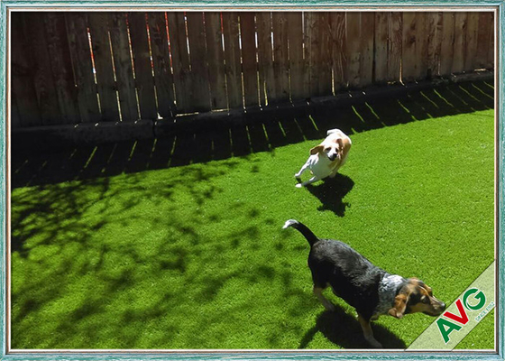La CINA 35 millimetri di tappeto erboso artificiale dell'animale domestico UV amichevole di resistenza/erba sintetica per il gioco del cane fornitore