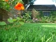 Erba artificiale del giardino riciclabile verde per la decorazione, tappeto erboso artificiale domestico fornitore