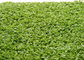 L'erba falsa decorativa dell'hockey del filato del PE del monofilo tappezza un punto 6600 Dtex di 220 s/m fornitore