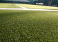 L'erba falsa decorativa dell'hockey del filato del PE del monofilo tappezza un punto 6600 Dtex di 220 s/m fornitore