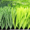 Tappeto sintetico dell'erba che abbellisce il tappeto erboso artificiale del campo di football americano artificiale dell'erba del tappeto erboso fornitore