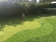 Altezza artificiale verde mettente sintetica di Gateball 13m dell'erba del tappeto erboso di golf fornitore