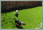 35 millimetri di tappeto erboso artificiale dell'animale domestico UV amichevole di resistenza/erba sintetica per il gioco del cane fornitore