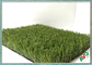 I pp + tosano l'appoggio dell'inquinamento ambientale artificiale del campione libero dell'erba dei bambini fornitore