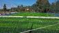Erba artificiale 50mm verde resistente uv per il campo di football americano fornitore