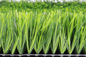 Il calcio verde del tappeto erboso della FIFA erba l'erba artificiale di calcio di 60mm fornitore