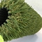 4 di plastica Tone Natural Landscaping Artificial Grass per la decorazione del giardino fornitore