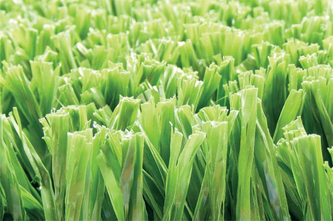 Il campo da giuoco di 50MM che abbellisce l'erba sintetica tappezza 5 – 10 anni di garanzia 1