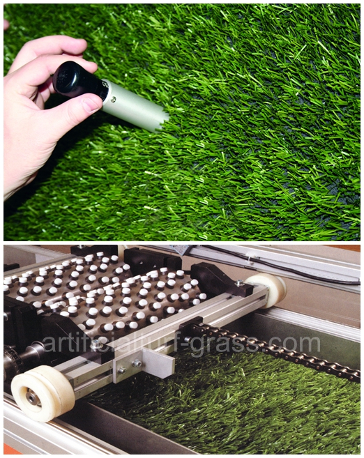 All Victory Grass (Guangzhou) Co., Ltd controllo di qualità 0