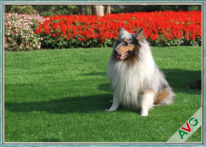 Erba sintetica del cane residenziale artificiale del tappeto erboso dell'animale domestico del prato inglese del balcone del paesaggio 0