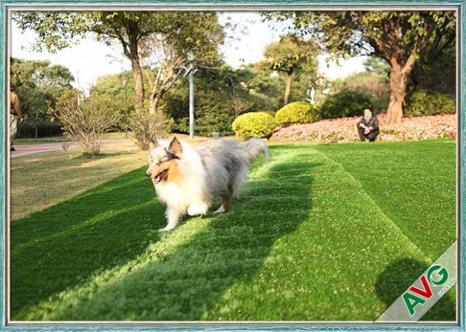 Erba artificiale di Eden Grass Recycled Synthetic Pet del tappeto erboso dell'animale domestico della protezione del lattice/unità di elaborazione di SBR 0