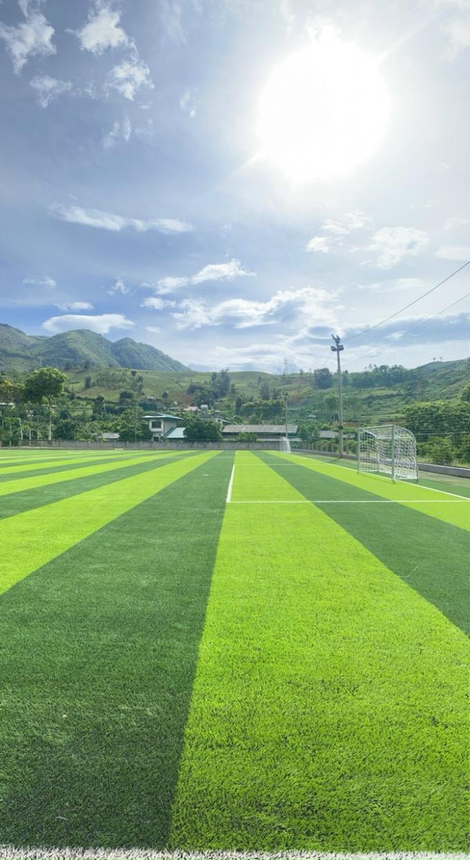 Altezza artificiale durevole del campo di calcio 50mm dell'erba di calcio 0