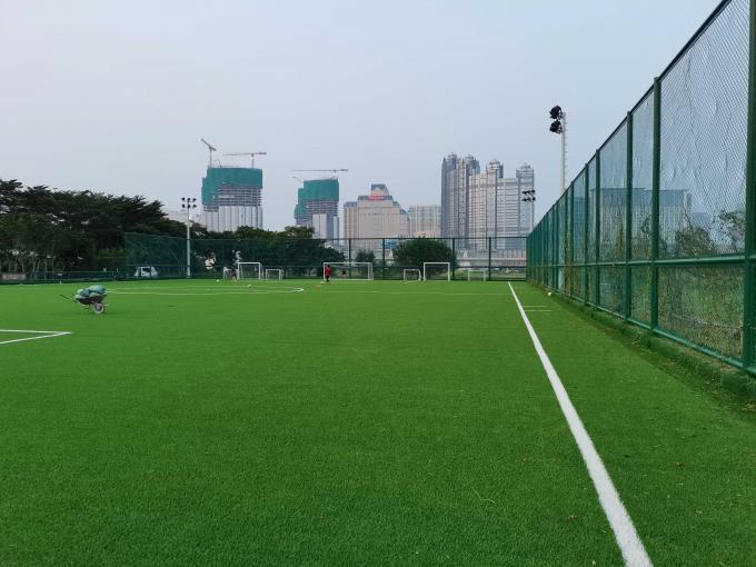 Sport artificiali dell'erba di calcio professionistico che pavimentano per il calcio 0