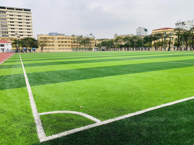 Gli sport artificiali dell'erba che pavimentano per il calcio di calcio hanno frantumato 50mm 0
