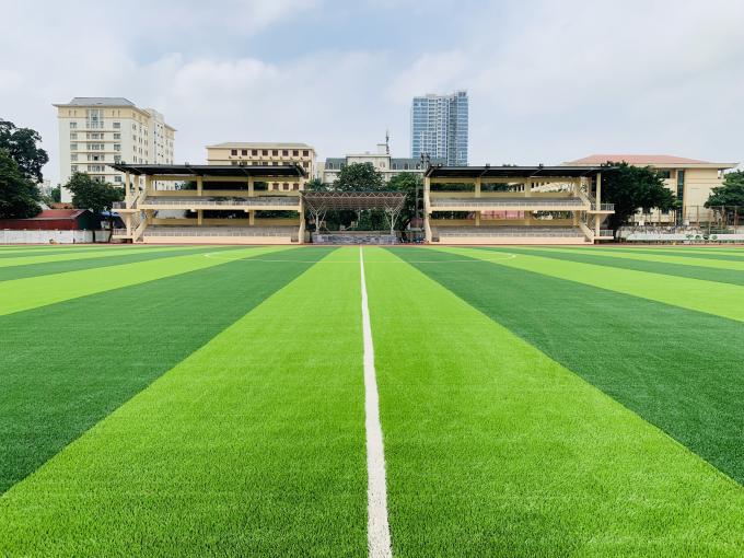 sport artificiali dell'erba di 55mm che pavimentano per la terra di calcio di calcio 0