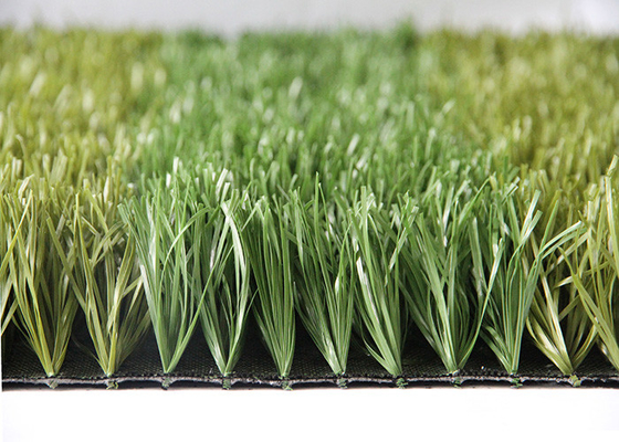La CINA Certificazione sintetica del CE dello SGS del tappeto erboso dell'erba artificiale ambientale Anti-UV di sport di AVG fornitore