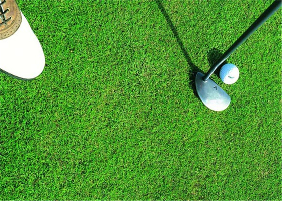 La CINA Erba artificiale di golf sano, attesa sintetica di lunga vita del tappeto erboso di golf fornitore
