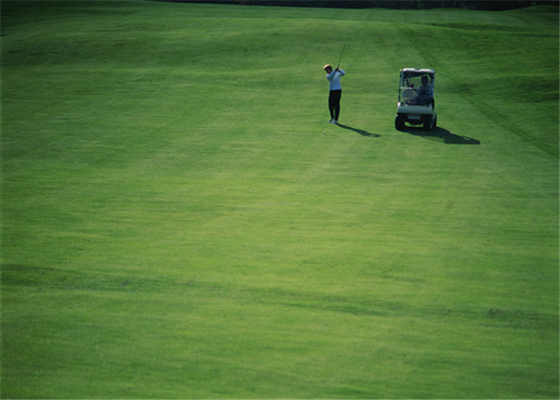 La CINA Verdi mettenti di alto di resistenza all'abrasione di golf dell'erba del tappeto golf all'aperto artificiale della casa fornitore