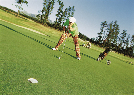 La CINA Erba artificiale ad alta densità riccia per verde mettente di golf, erba di falsificazione di golf fornitore
