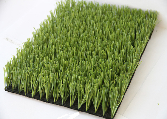 La CINA Il materiale artificiale la FIFA del PE pp dell'erba di calcio di verde di livello 60mm del mucchio è risultato fornitore