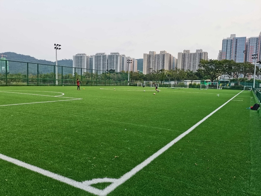 La CINA tappeto erboso artificiale artificiale di calcio di Cesped Synthetique Gazon di calcio di 55mm fornitore