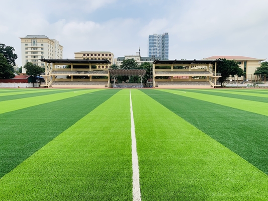 La CINA sport artificiali dell'erba di 55mm che pavimentano per la terra di calcio di calcio fornitore