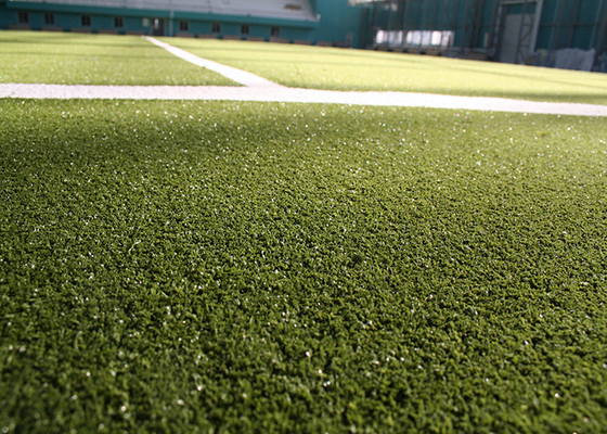 La CINA Lo sport riccio che pavimenta l'hockey ha colorato l'erba tappeto artificiale di falsificazione del tappeto erboso fornitore