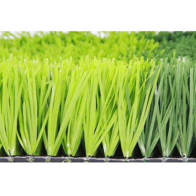 La CINA Erba artificiale di calcio dell'erba di calcio della fabbrica artificiale dell'erba di AVG fornitore