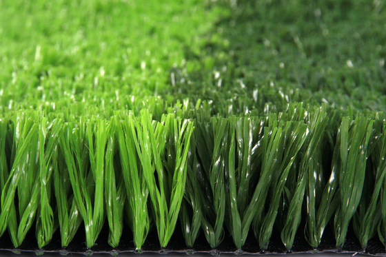 La CINA 60mm la FIFA hanno approvato il tappeto artificiale del tappeto erboso dell'erba di calcio di calcio fornitore