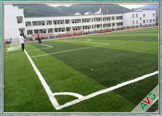 La CINA Risparmio d'acqua artificiale di Dtex del tappeto erboso 12000 del campo di calcio multifunzionale standard della FIFA fornitore
