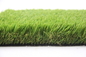Erba artificiale curva del giardino della casa del cavo 60mm per il tappeto erboso dei Greenfields fornitore