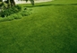 Filato sintetico artificiale dell'erba del giardino 35cm dell'erba per l'erba artificiale del prato inglese del giardino fornitore