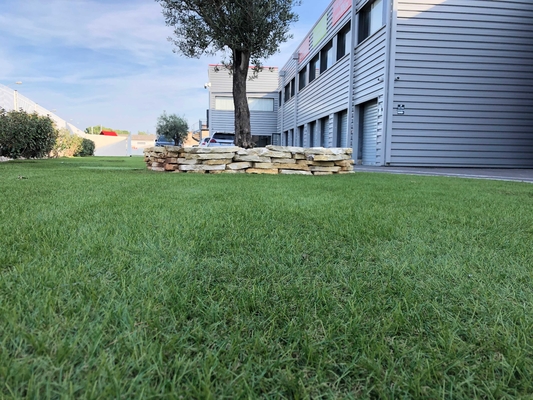 Abbellendo il tappeto erboso 25mm C modelli l'erba artificiale per l'erba del paesaggio del giardino fornitore