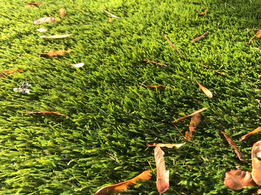 L'erba tappeto artificiale del giardino rotola il colore naturale di 25mm fornitore