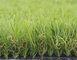 pelle sintetica naturale dell'erba del giardino del prato inglese del tappeto erboso di 50mm amichevole fornitore