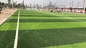 Erba del pro tappeto erboso sintetico approvato di calcio di qualità &amp; pavimentazione artificiali 55mm di sport fornitore