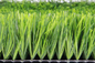 Erba del pro tappeto erboso sintetico approvato di calcio di qualità &amp; pavimentazione artificiali 55mm di sport fornitore