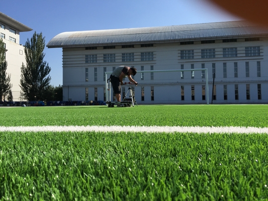 Erba sintetica 55mm artificiali dell'erba di calcio del gazon del tappeto erboso ad alta densità di calcio fornitore