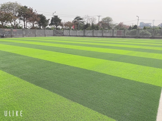 Altezza artificiale Diamond Reinforced unico del tappeto erboso 55m di calcio verde tenero fornitore